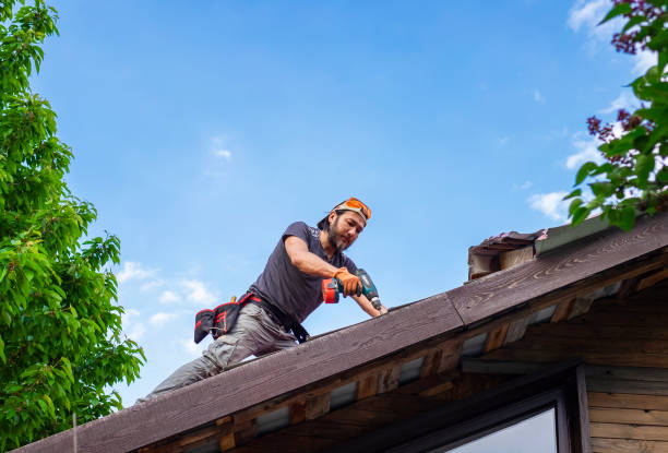 Best Steel Roofing  in Advance, MO